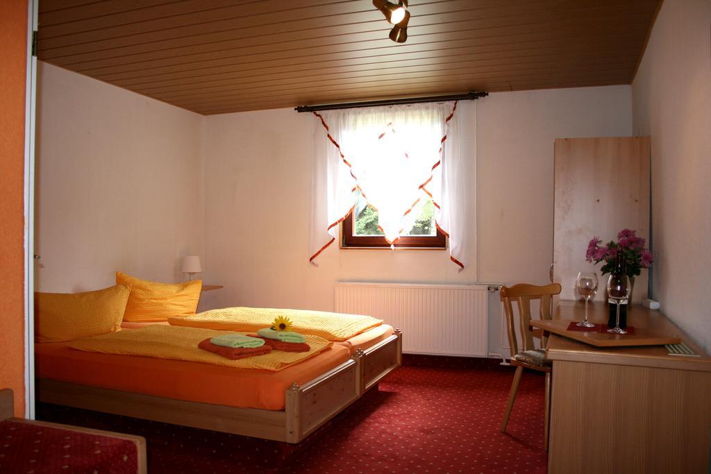 Pension Waldsch\u00E4nke Geyer Exterior foto