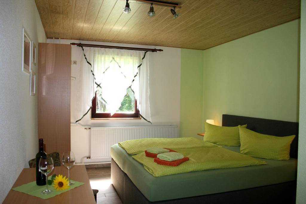 Pension Waldsch\u00E4nke Geyer Exterior foto